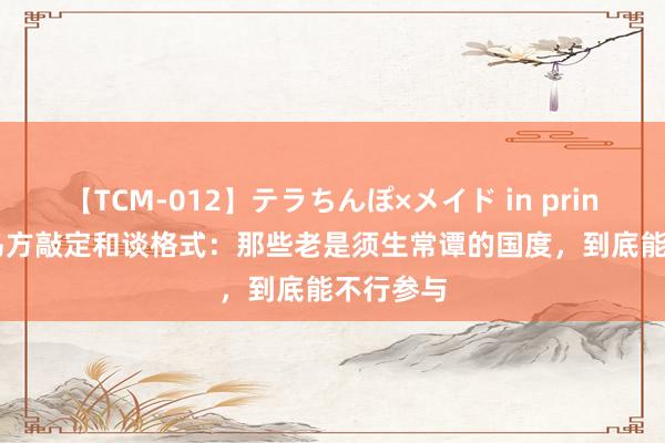 【TCM-012】テラちんぽ×メイド in prin MIKA 乌方敲定和谈格式：那些老是须生常谭的国度，到底能不行参与