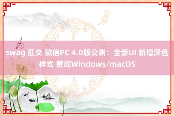 swag 肛交 微信PC 4.0版公测：全新UI 新增深色样式 赞成Windows/macOS