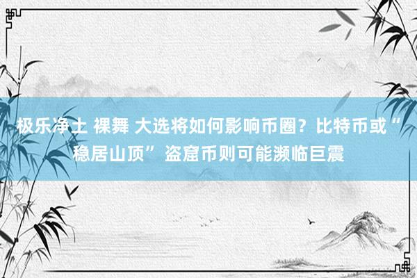 极乐净土 裸舞 大选将如何影响币圈？比特币或“稳居山顶” 盗窟币则可能濒临巨震