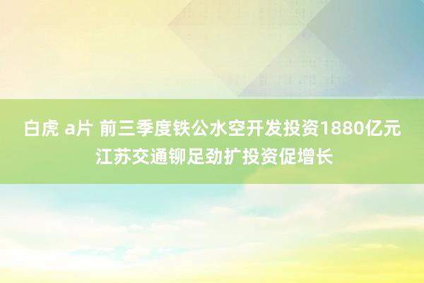 白虎 a片 前三季度铁公水空开发投资1880亿元 江苏交通铆足劲扩投资促增长