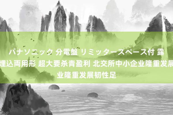 パナソニック 分電盤 リミッタースペース付 露出・半埋込両用形 超大要杀青盈利 北交所中小企业隆重发展韧性足