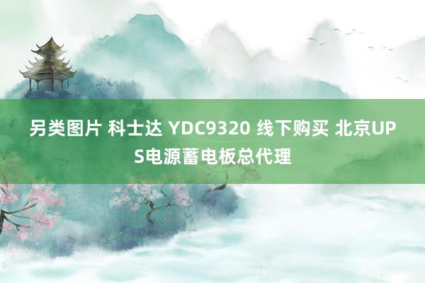 另类图片 科士达 YDC9320 线下购买 北京UPS电源蓄电板总代理