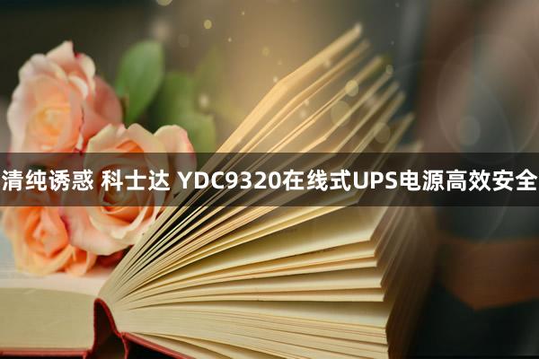 清纯诱惑 科士达 YDC9320在线式UPS电源高效安全